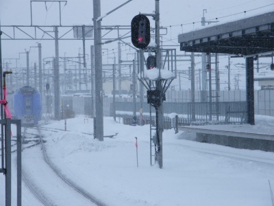 DSCF2133.jpg