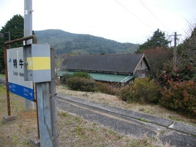 DSCF2168.jpg
