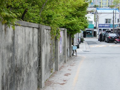 冬ソナ (28).jpg