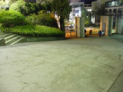 冬ソナ (5).jpg