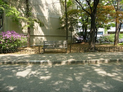 冬ソナ (86).jpg