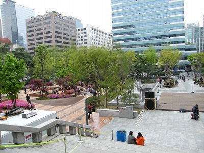 夏の香り (14).jpg