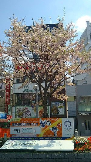 緊急事態宣言翌日.jpg