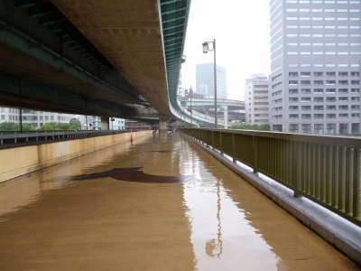 隅田川大橋1.jpg