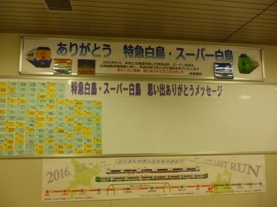 P1020582.jpg