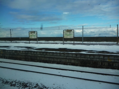 P1020669.jpg