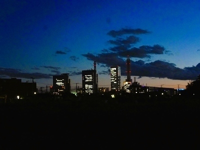 P1040910.jpg